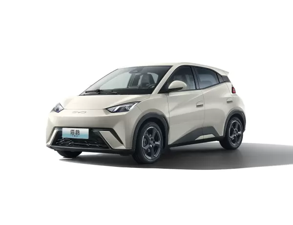 Seagull 2025 Smart Driving Edition 305KM Vitality Version