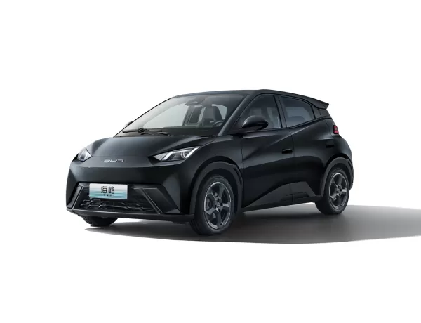 Seagull 2025 Smart Driving Edition 305KM Vitality Version