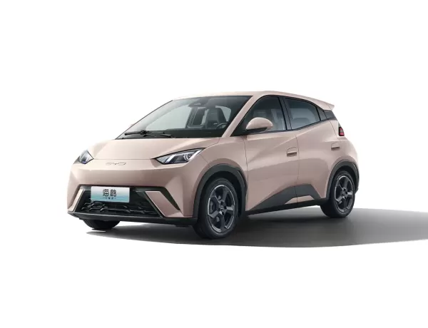 Seagull 2025 Smart Driving Edition 305KM Vitality Version