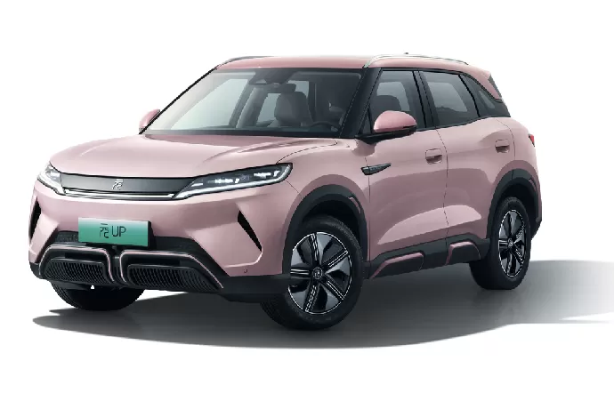 Yuan UP 2025 Smart Driving Edition 401KM Leading Version