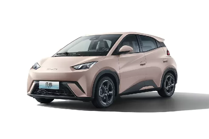 Seagull 2025 Smart Driving Edition 305KM Vitality Version