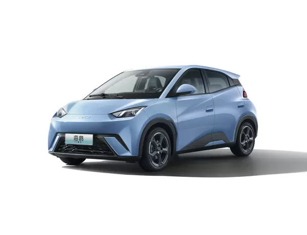 Seagull 2025 Smart Driving Edition 305KM Vitality Version