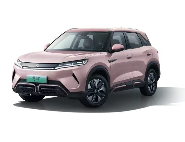 Yuan UP 2025 Smart Driving Edition 401KM Leading Version