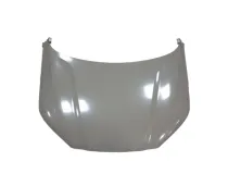 Front hood assembly