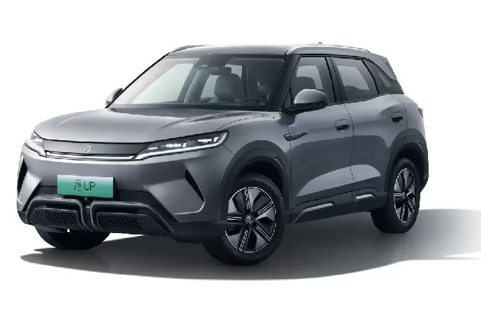 Yuan UP 2025 Smart Driving Edition 401KM Super Version