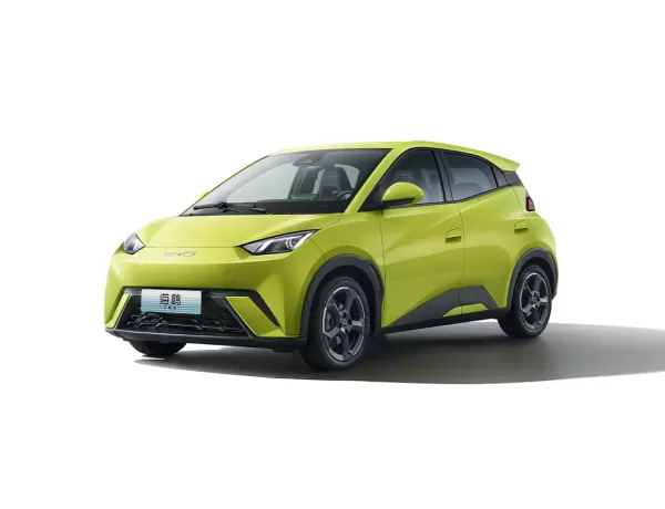 Seagull 2025 Smart Driving Edition 305KM Vitality Version